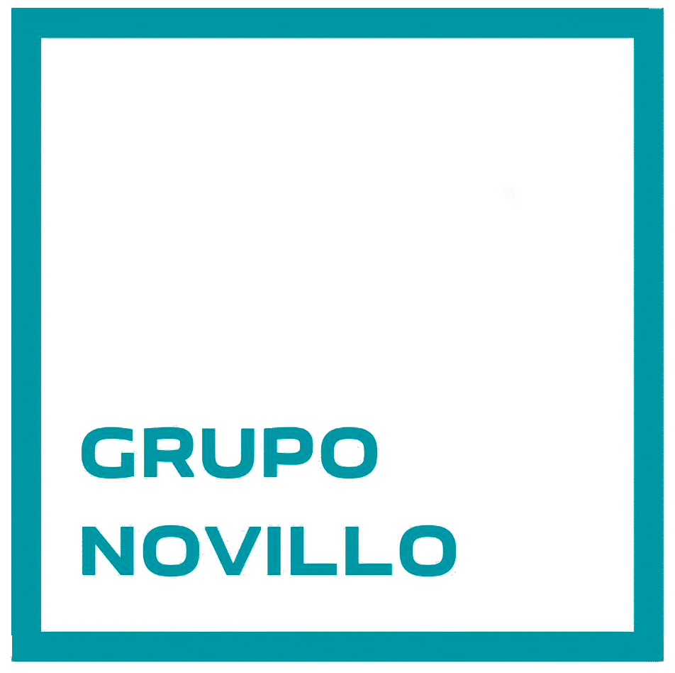 Grupo Novillo